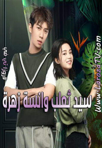 مسلسل سيد ثعلب وانسة زهرة الحلقة 29 مترجمة Mr Fox and Miss Rose ح29