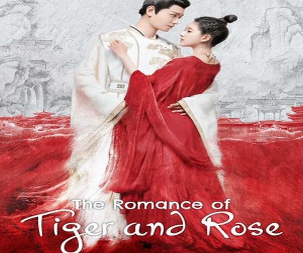 مسلسل رومانسية النمر والزهرة الحلقة 12 مترجمة The Romance of Tiger and Rose ح12